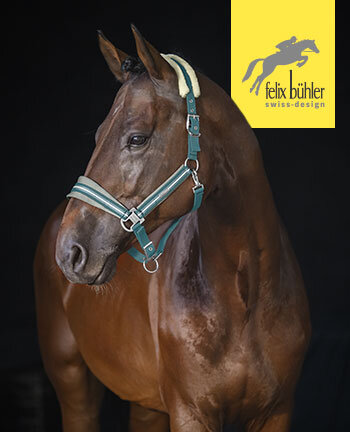 Felix Bhler Halfter & Stricke
