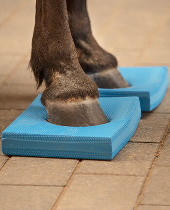 Stall & Reitplatz