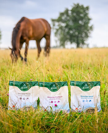 Dosierpumpe für Kanister - Zusatzfutter - Krämer Pferdesport