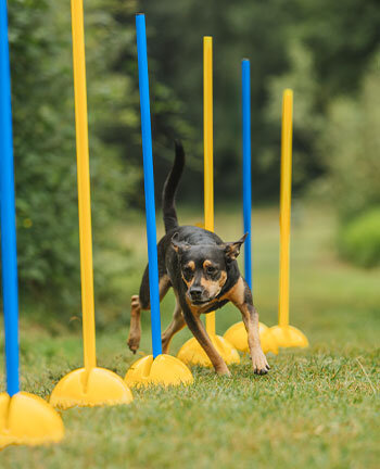 Agility