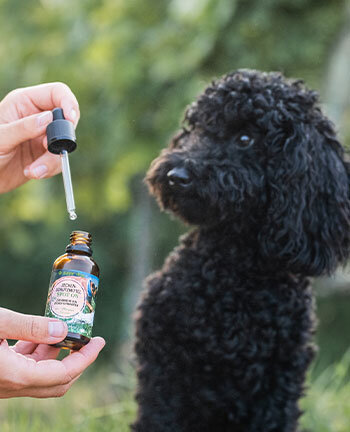 Pflegemittel fr Hunde