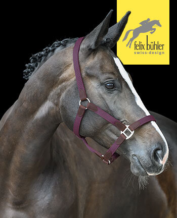 Felix Bhler Halfter & Stricke