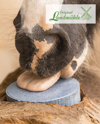 Original Landmhle Lecksteine