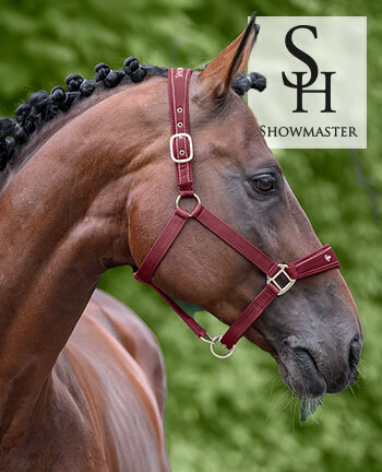 SHOWMASTER Halfter & Stricke