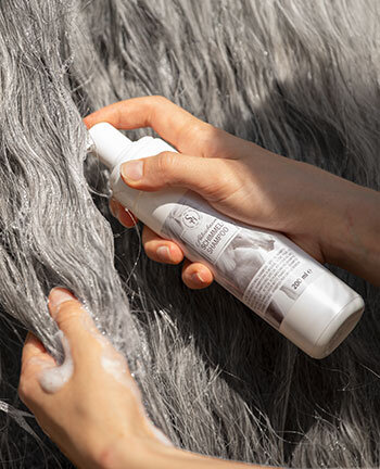 Shampoos & Trockenshampoos