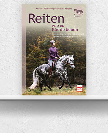 Freizeitreiten & Western