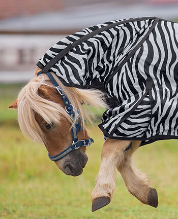Pony-Fliegenschutz