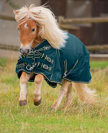 Pony- & Fohlendecken