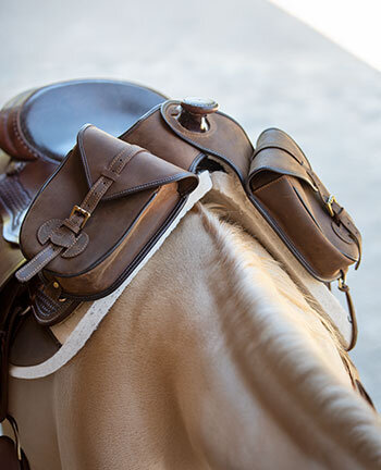 Satteltaschen