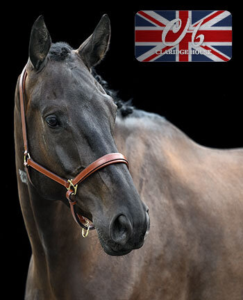 CLARIDGE HOUSE Halfter