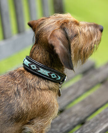 Hundehalsb�nder & -geschirre