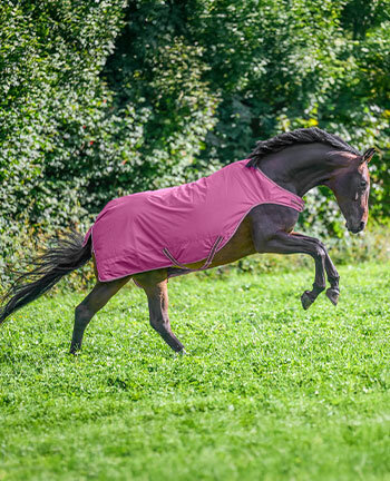 F�hranlagen- & Walkerdecken