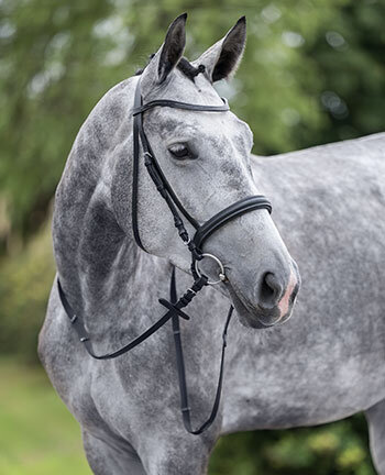 Trensenz�ume & Zubeh�r