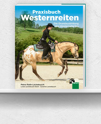 Freizeitreiten & Western