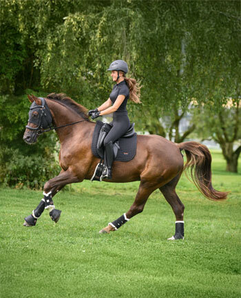 Therapieartikel f�r Pferde