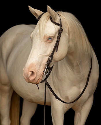 Ein- & Zweiohrkopfst�cke