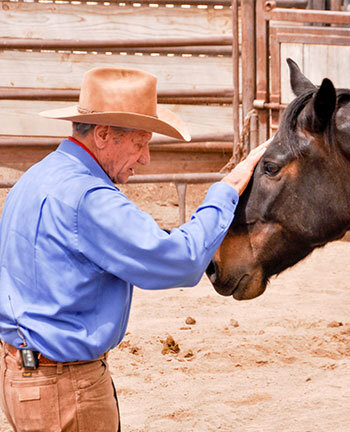 Monty Roberts