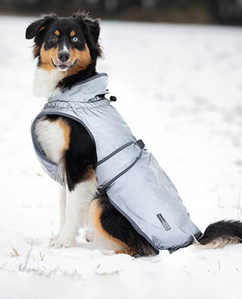 Reflexartikel fr Hunde