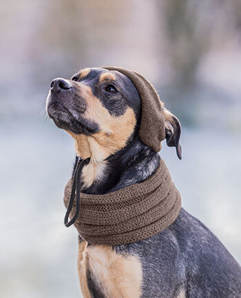 Accessoires fr Hunde