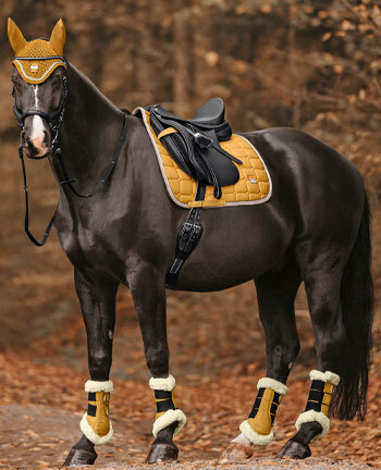 Pferd