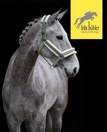 Felix Bhler Halfter & Stricke