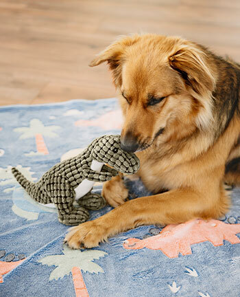 Hundebeschftigung