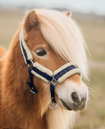 Pony- & Fohlenhalfter