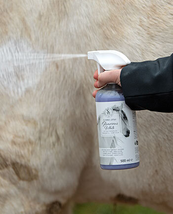 Shampoos & Trockenshampoos