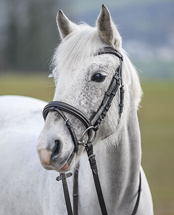 Ponytrensen