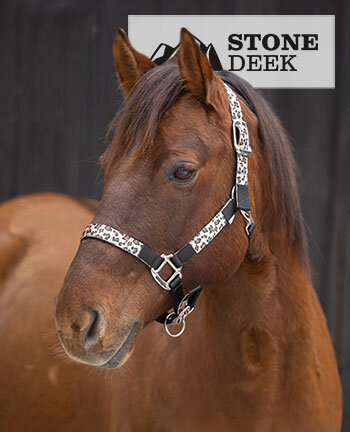 STONEDEEK Westernhalfter