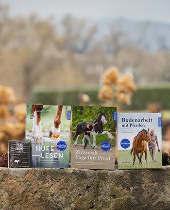 Geschenkartikel & B�cher