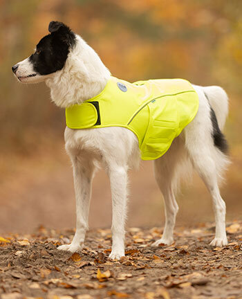 Reflexartikel f�r Hunde