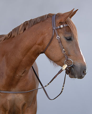 Westernkopfst�cke & Zubeh�r