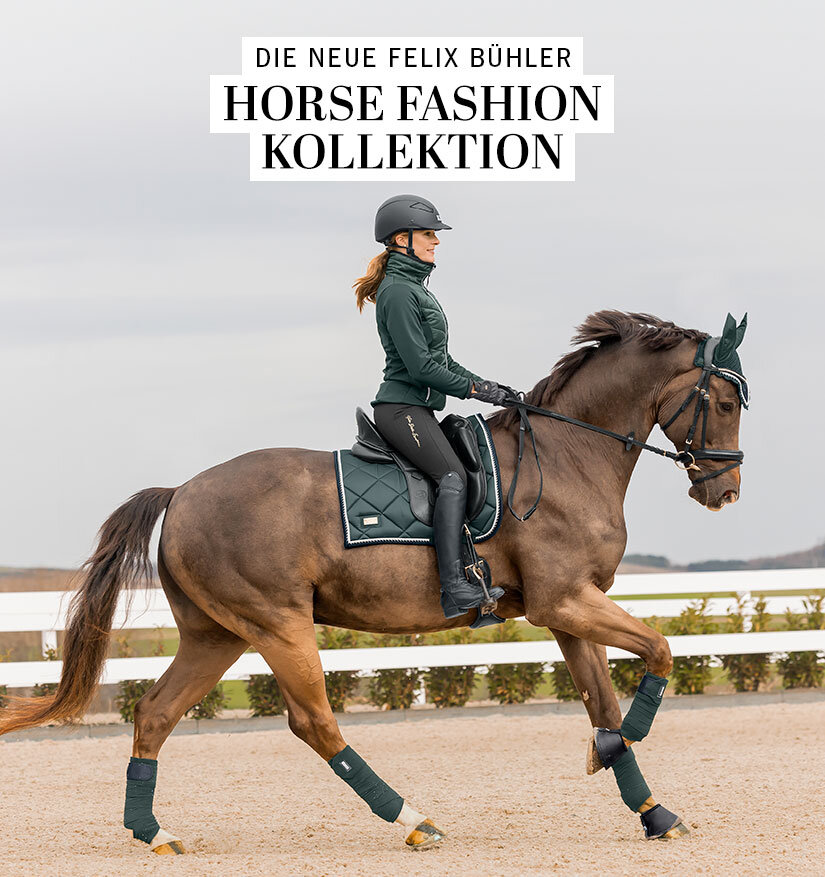 Krämer Pferdesport Reitzubehör und Reitsportartikel