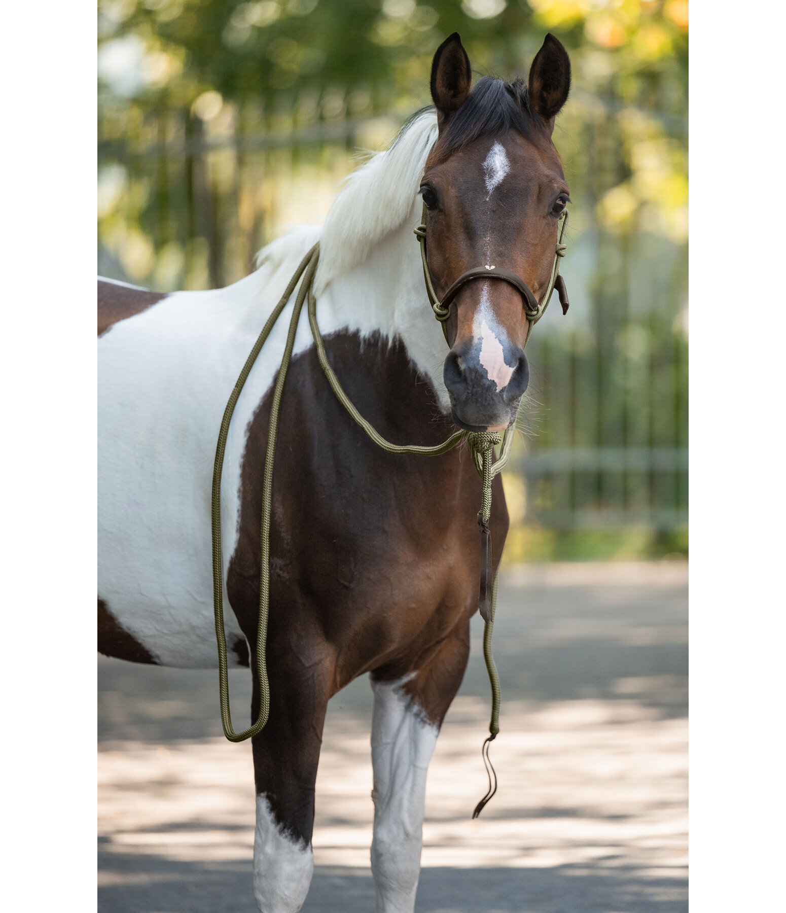 Knotenhalfter Merano mit Mecate