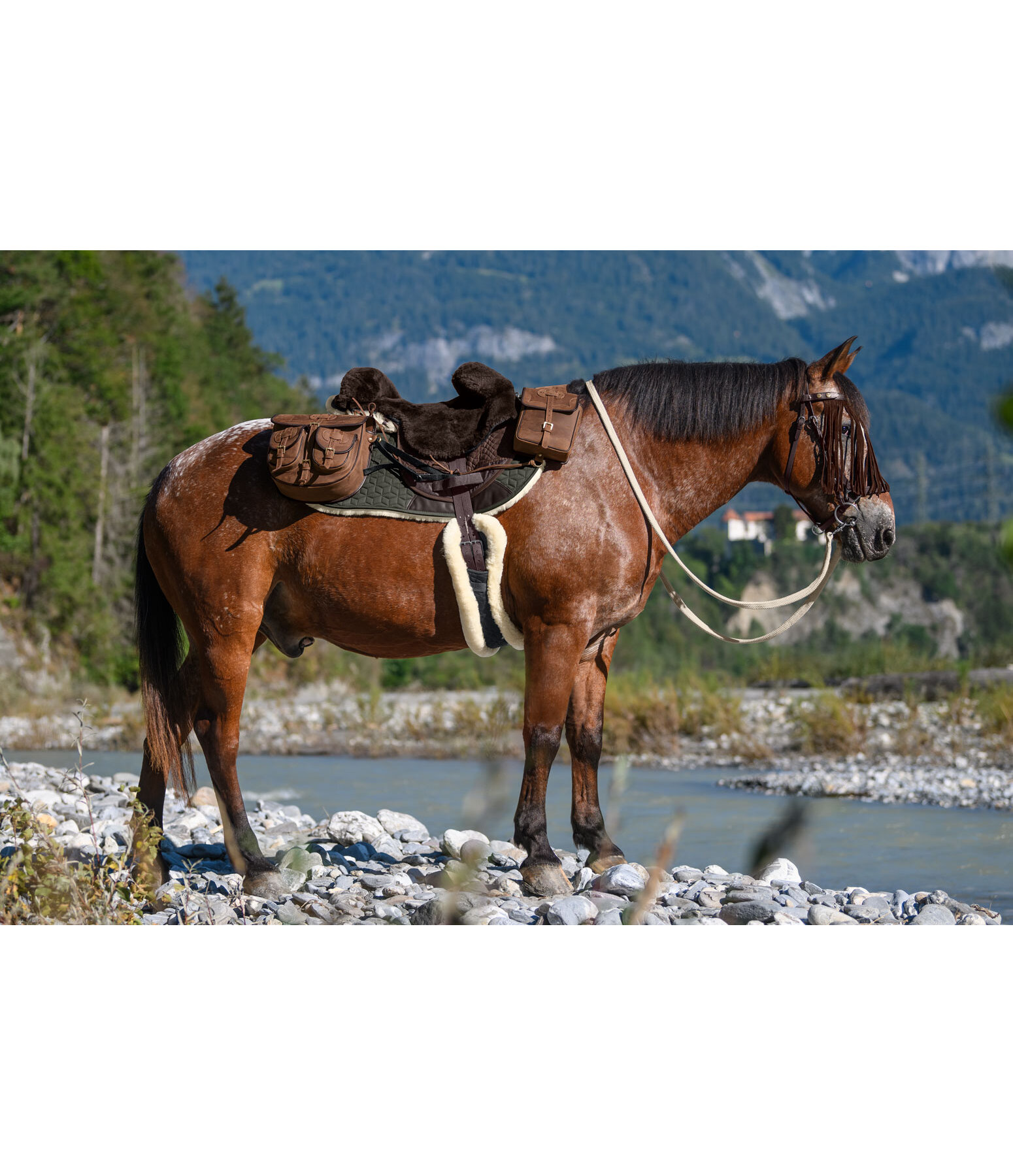 6. HKM Lammfellsattel Reitsättel 9123 Schwarz/Natur Vollblut/Warmblut ... Der HKM Lammfellsattel ist eine klassische Wahl für Reiter von Vollblut- und