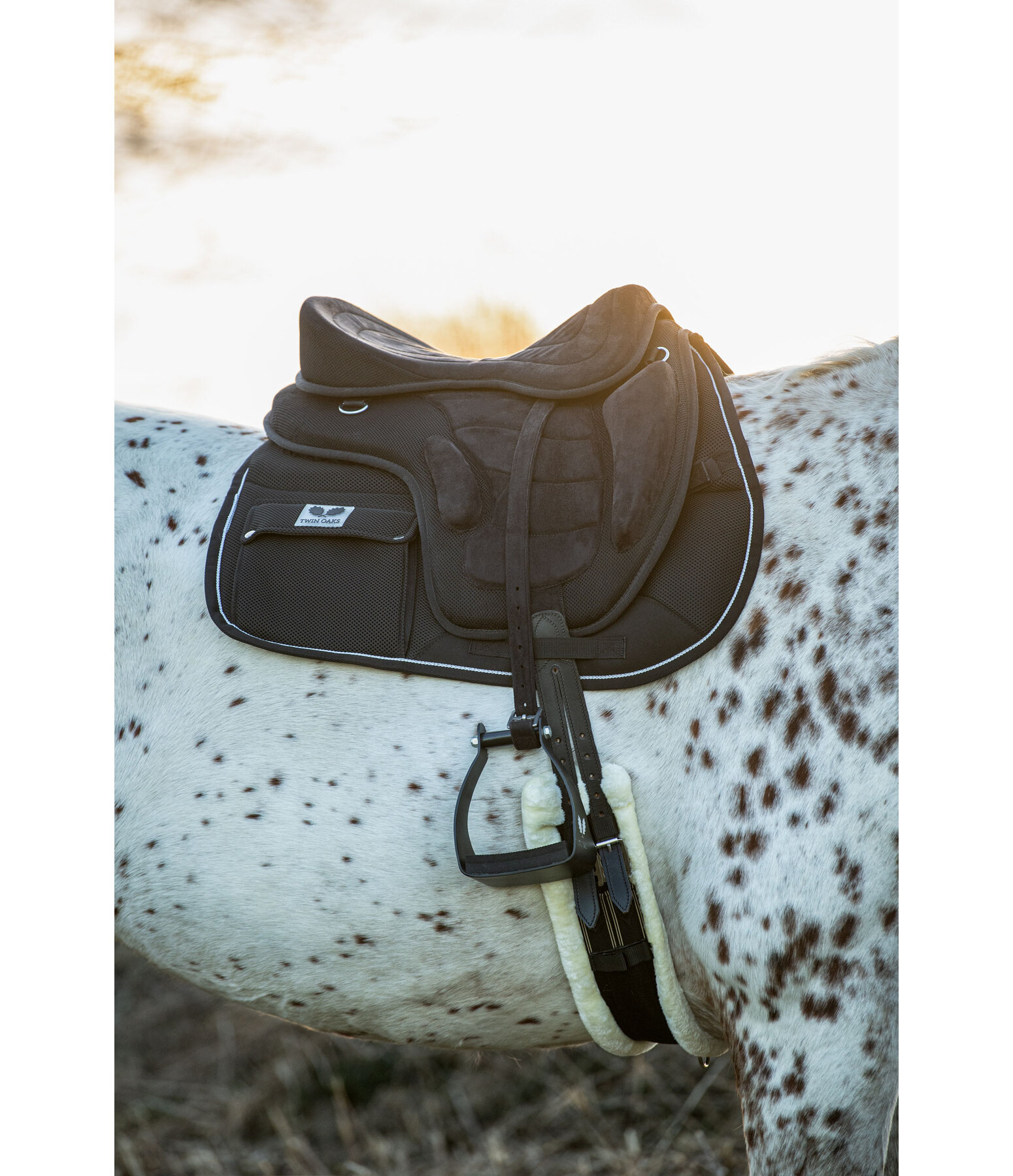 Freemax Light Sattel
