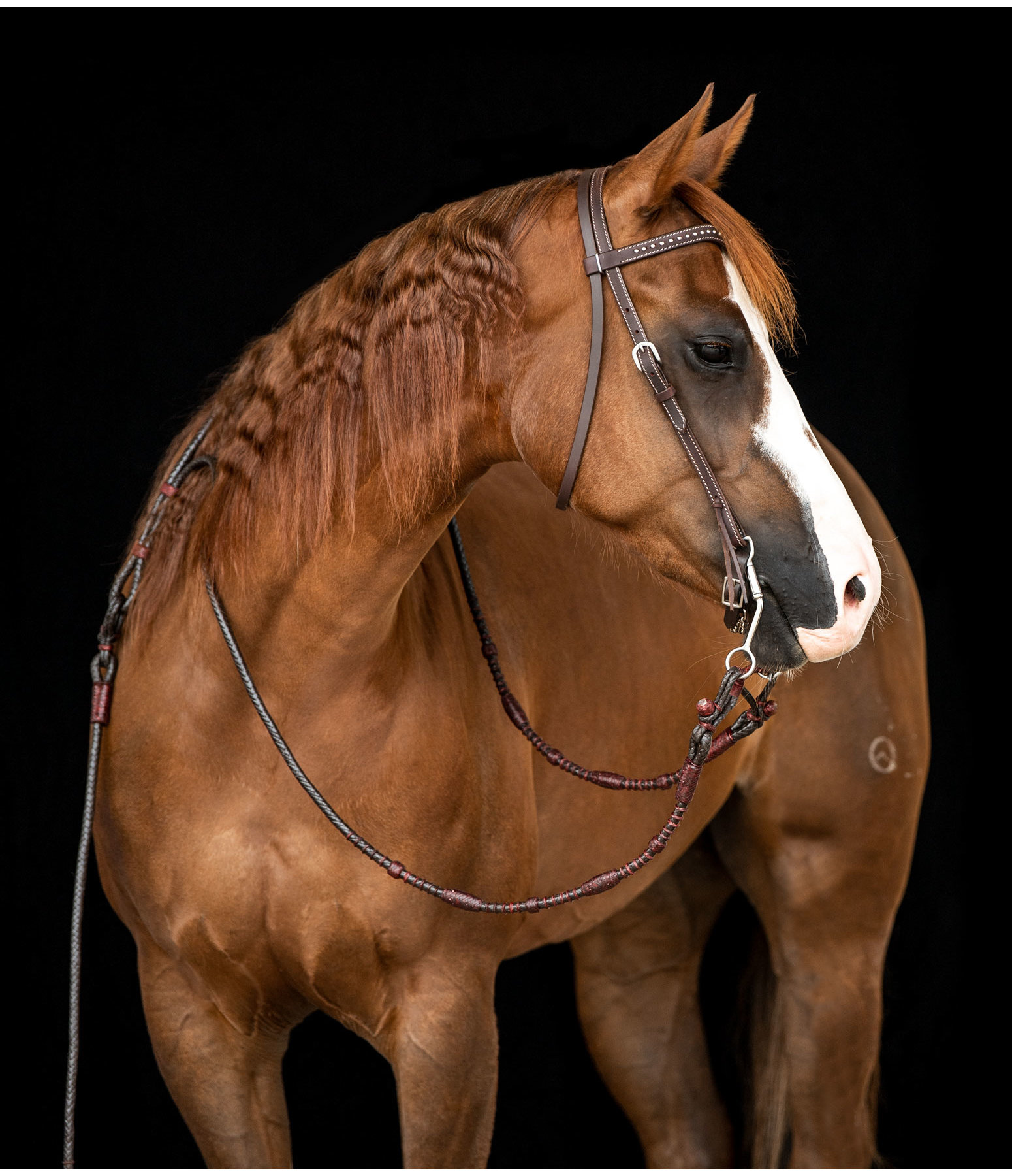 Mix & Match V-shaped Browband Dots