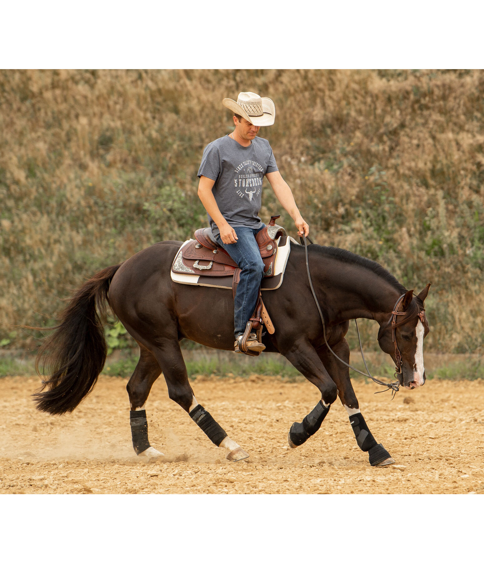Herren Western-Reitjeans Wilson