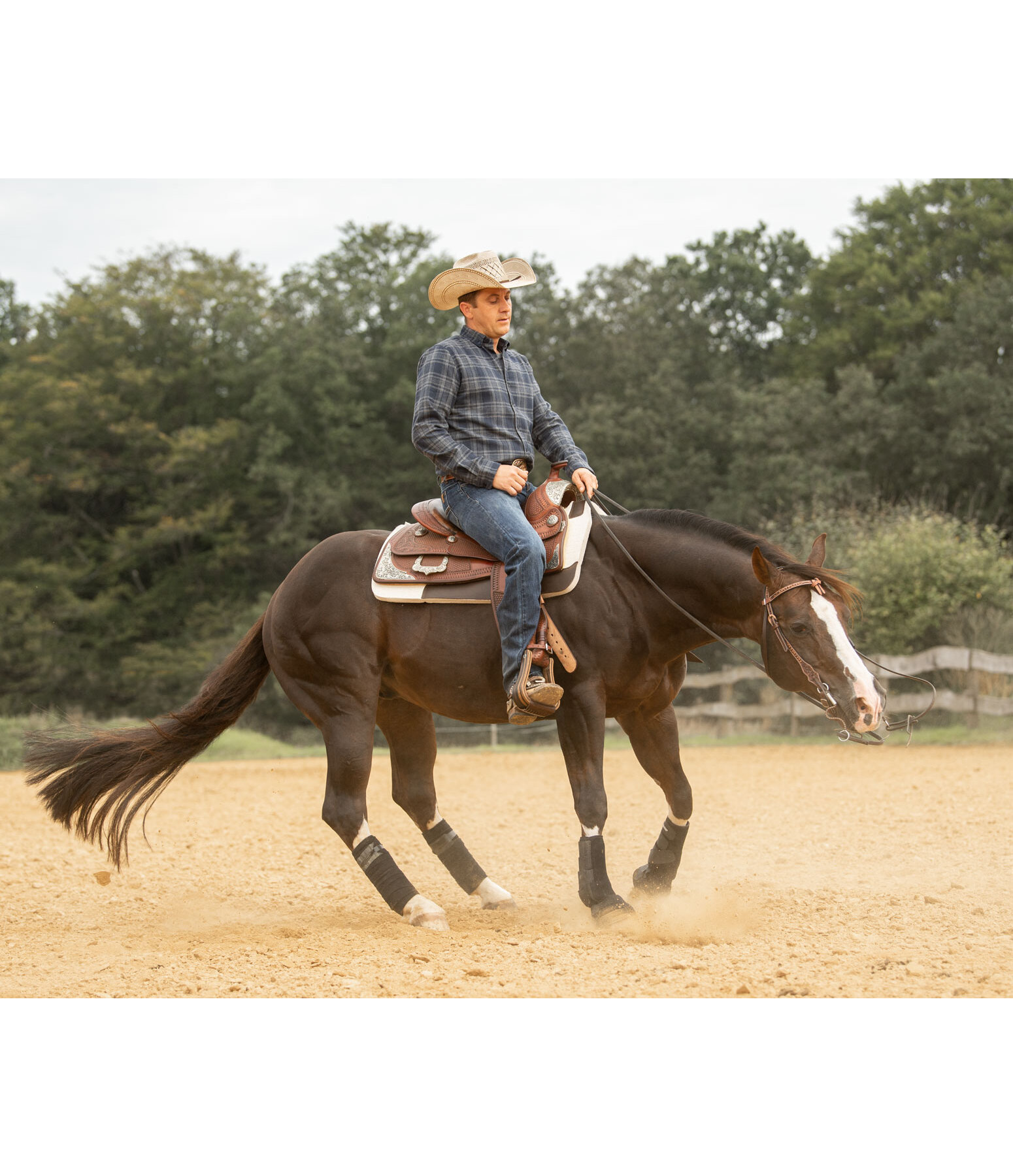 Herren Western-Reitjeans Wilson