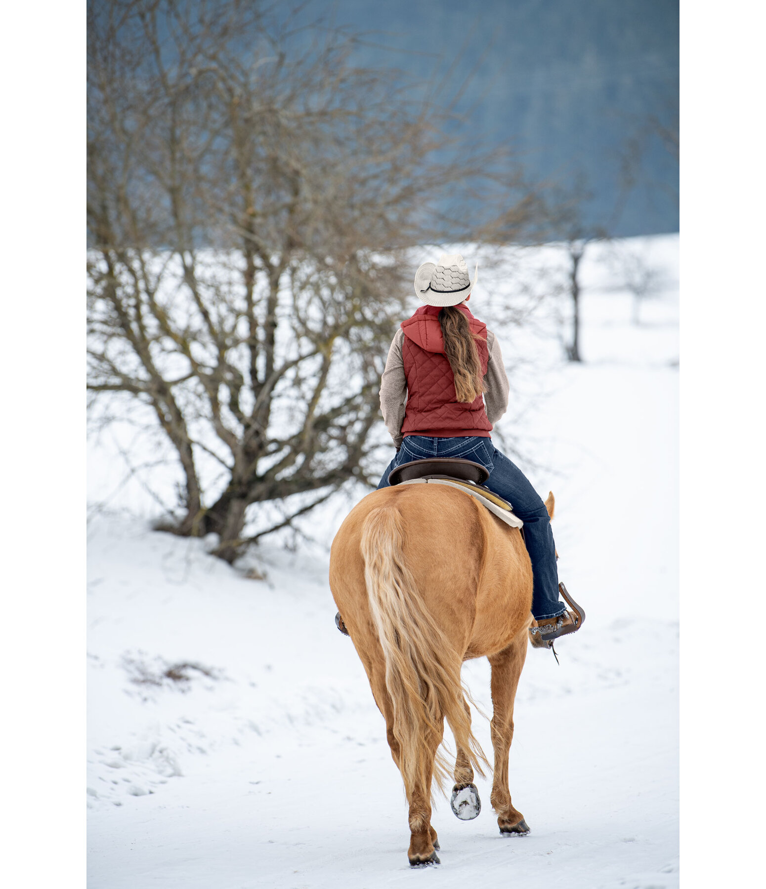 Western-Reitjeans Holly