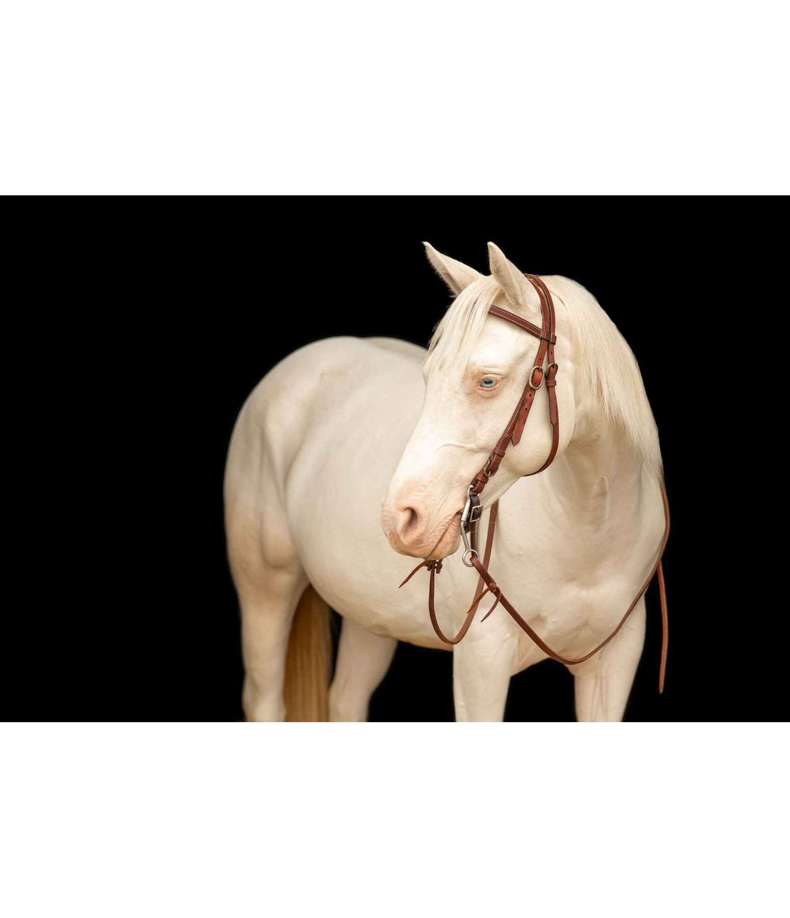 Arbeitskopfst�ck Buckle End