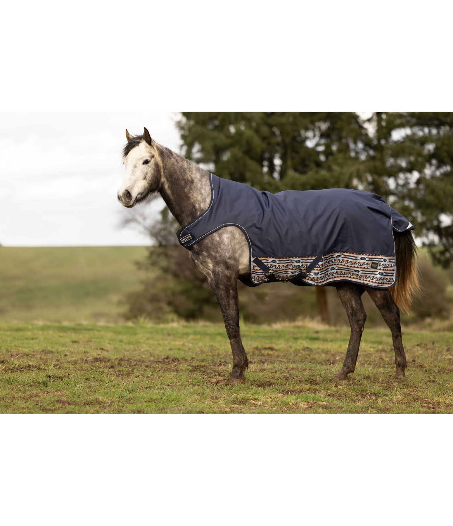 Outdoor Highneck-Walker Remy