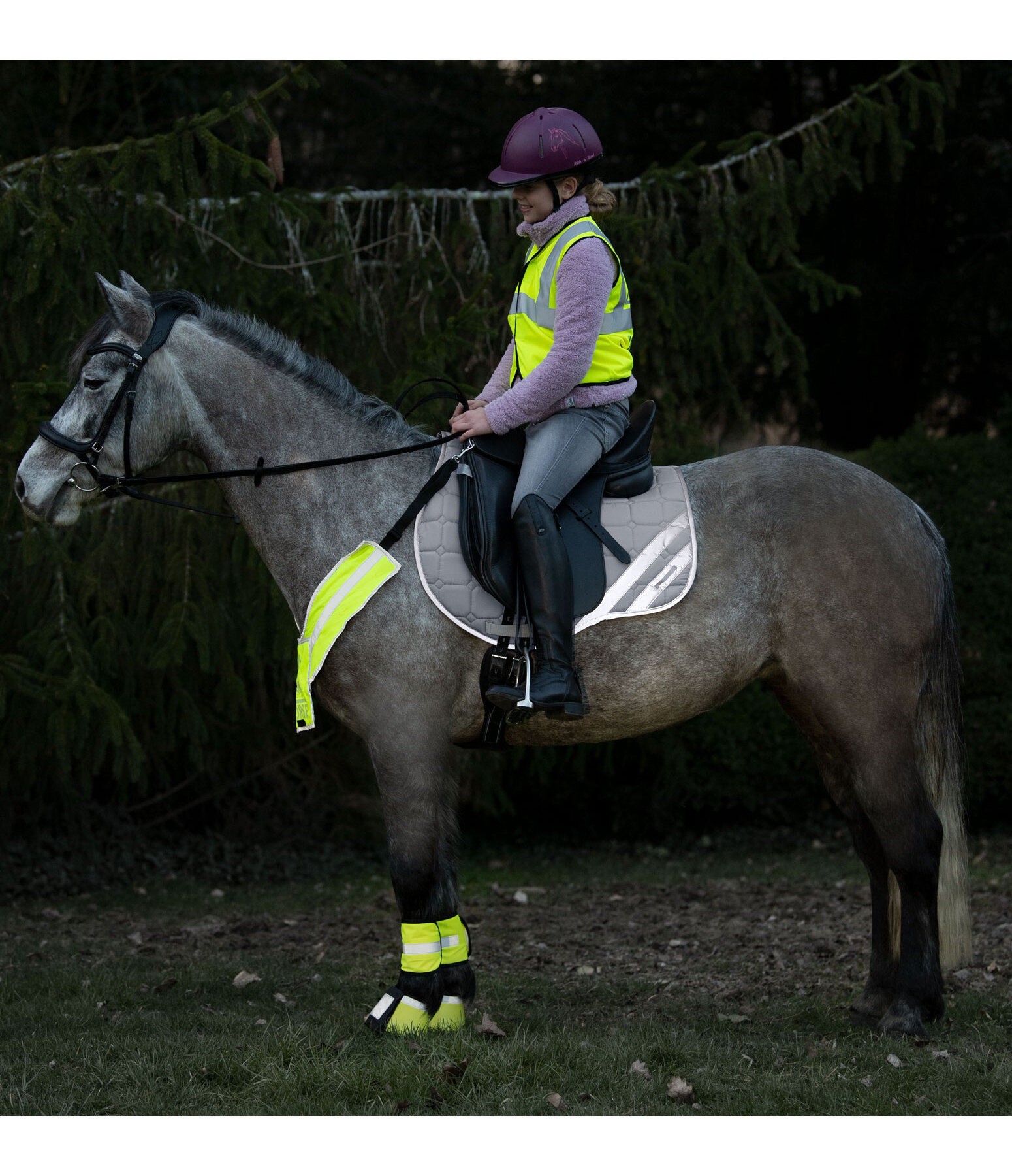 Reflex-Schabracke Safety First - Schabracken & Sattelpads - Krämer  Pferdesport Österreich