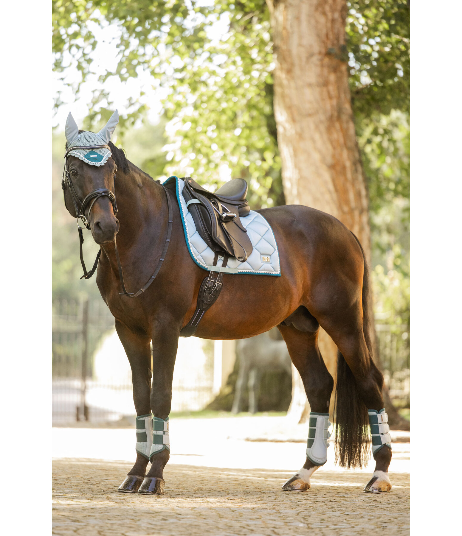 Schabracke Swiss Design