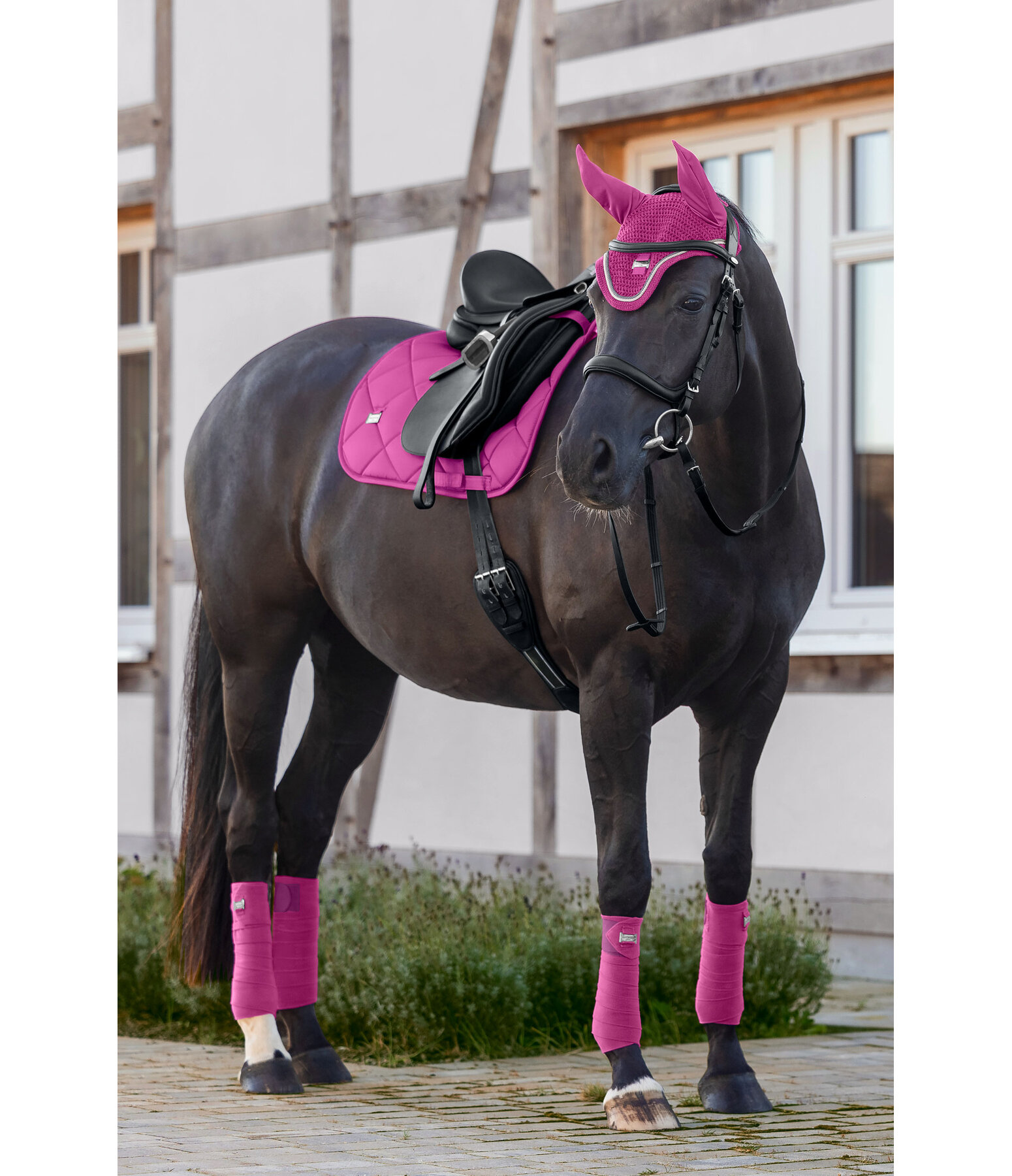 Schabracke Essential Standard