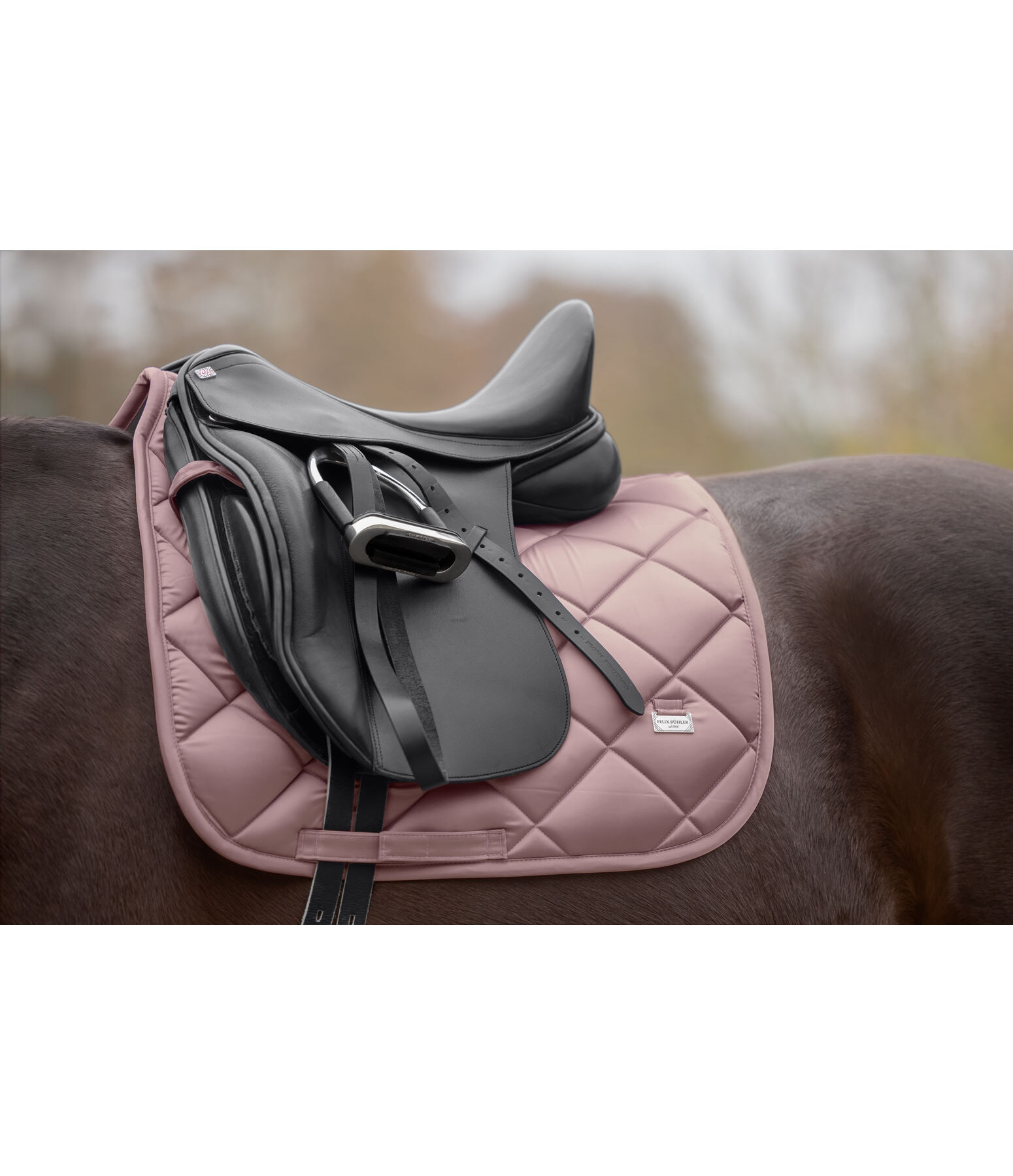Schabracke Essential Standard
