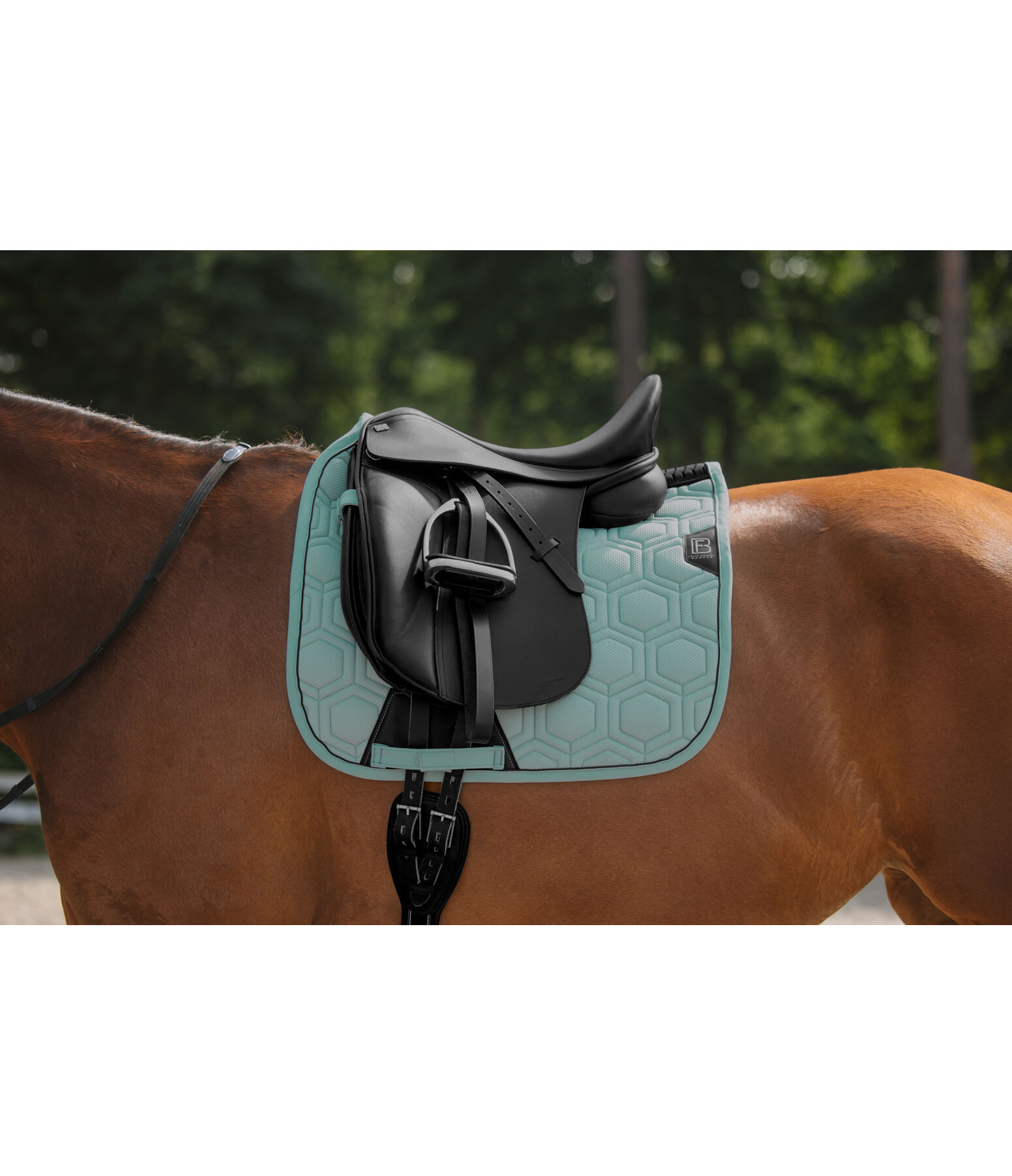 Schabracke Mesh-Technology