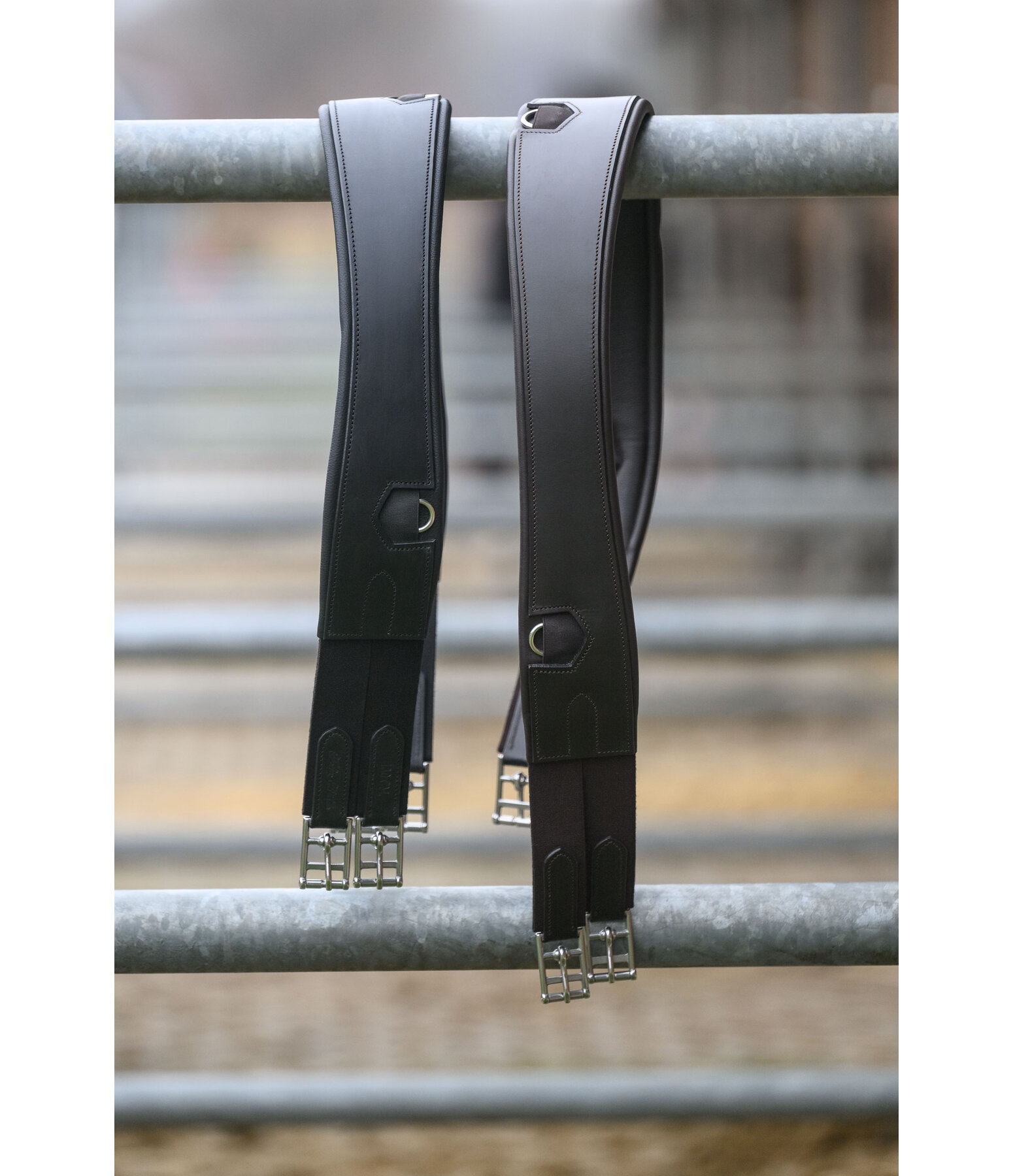 Leder-Sattelgurt Standard
