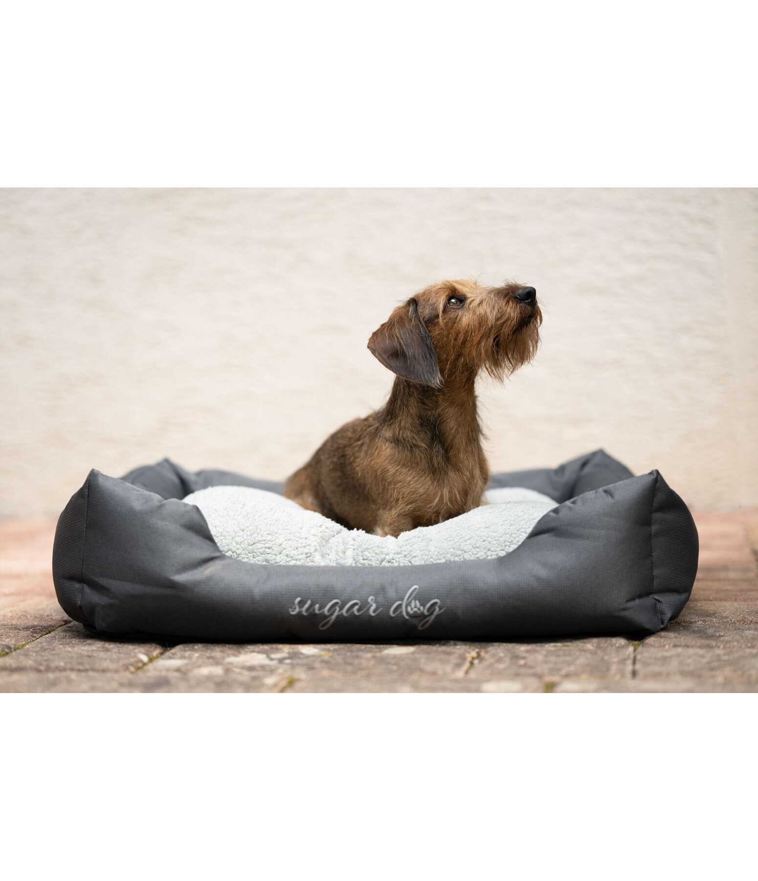 Hundebett Dreamy